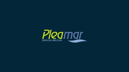 Pleamar