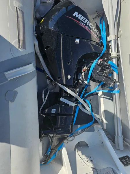 Zodiac cadet 300DL Rib Alu 2022