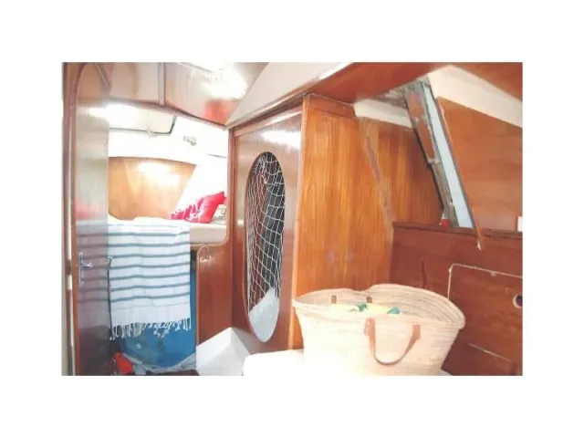 Taylor Cirrus 3/4 1978