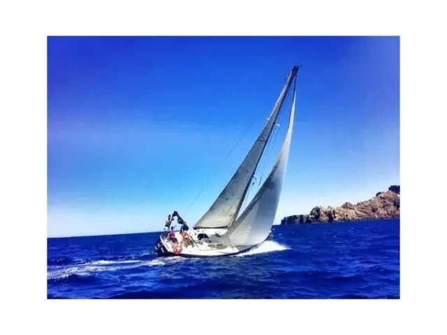 Taylor Cirrus 3/4 1978