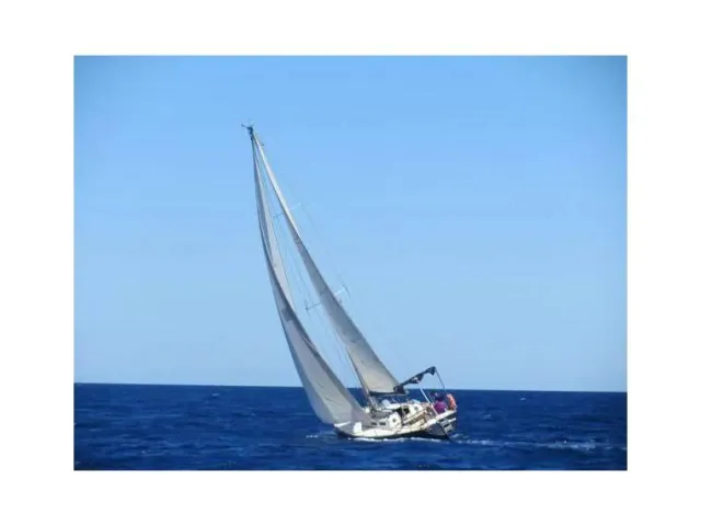 Taylor Cirrus 3/4 1978