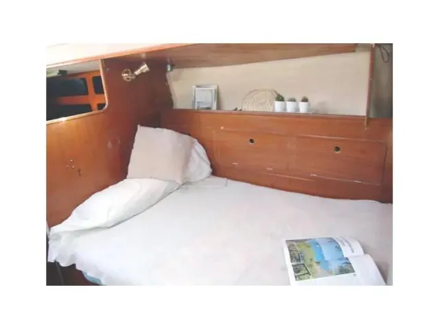 Taylor Cirrus 3/4 1978