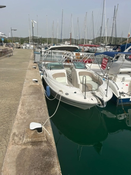 Sea Ray 240 Sundeck 2001