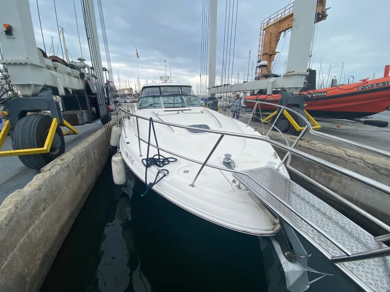 Sea Ray 425 2009