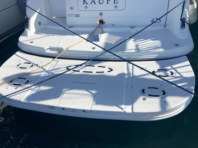 Sea Ray 425 2009