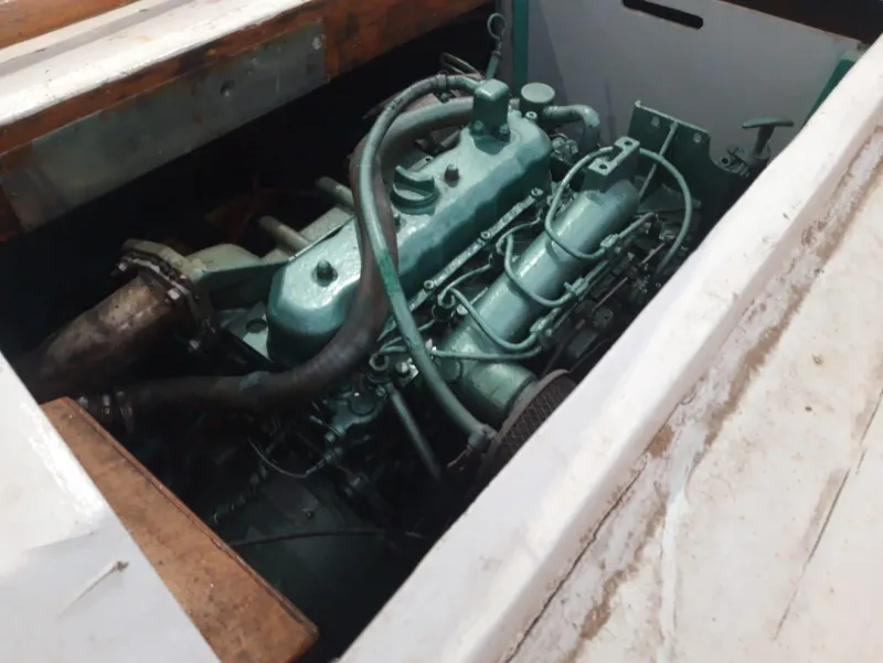 Llaut 6m 1972
