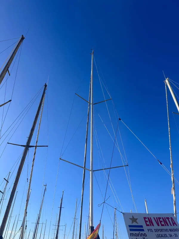 Hanse 388 2024