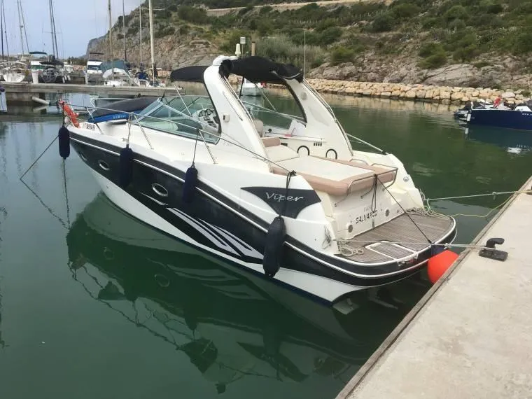 Viper 303 2009