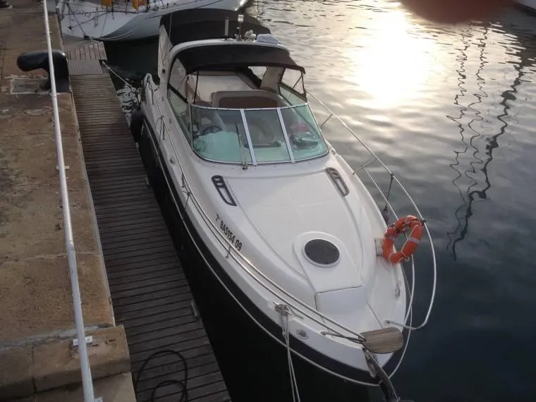 Viper 303 2009