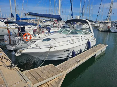 Foto del barco Doral 250 SE 2002