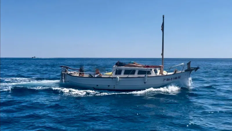 Llaut justo saura/Capeador 36 1987