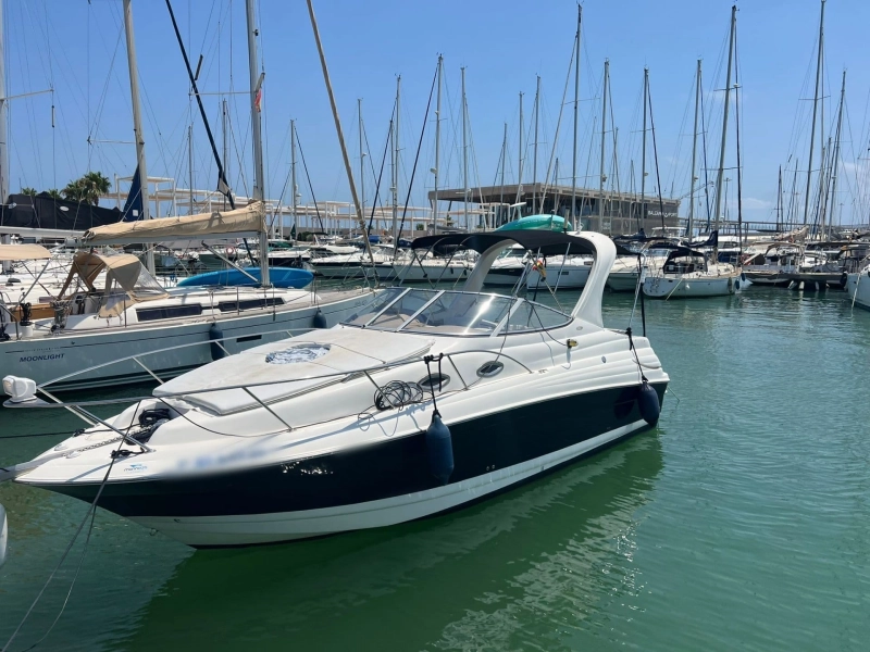  Otros Larson Cabrio 260 2006