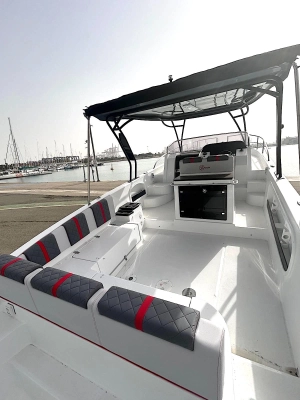 Foto del barco Saver 330 wa 2024