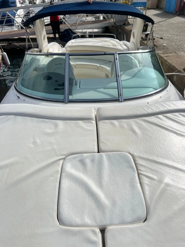 Sea Ray 290 SS 2002