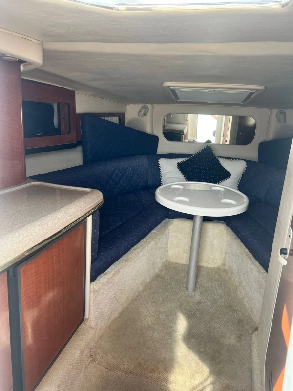 Sea Ray 290 SS 2002