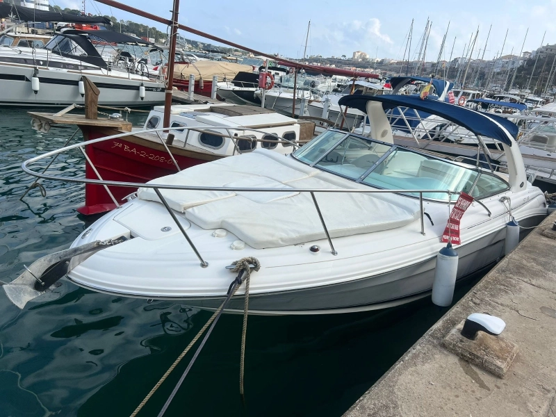 Sea Ray 290 SS 2002