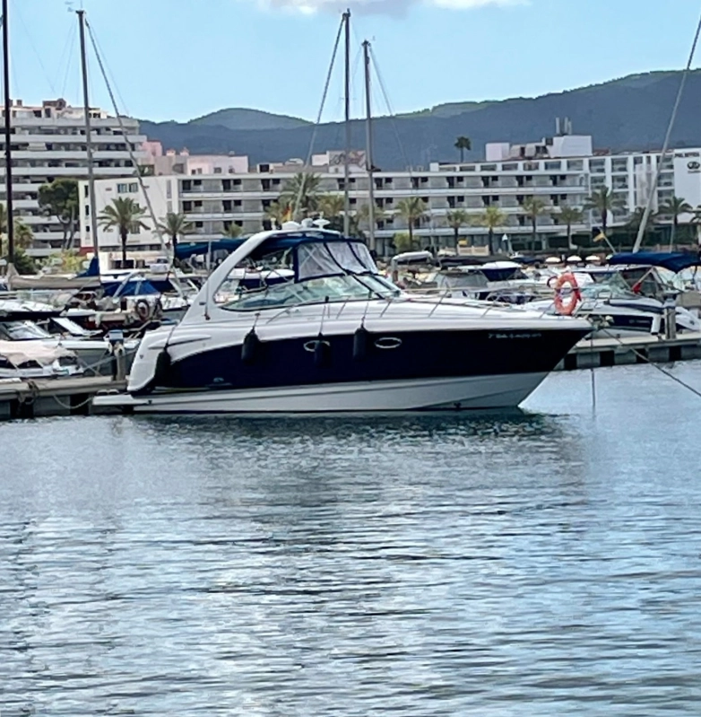 Chaparral Signature 310 2005