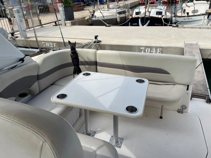 Chaparral Signature 310 2005