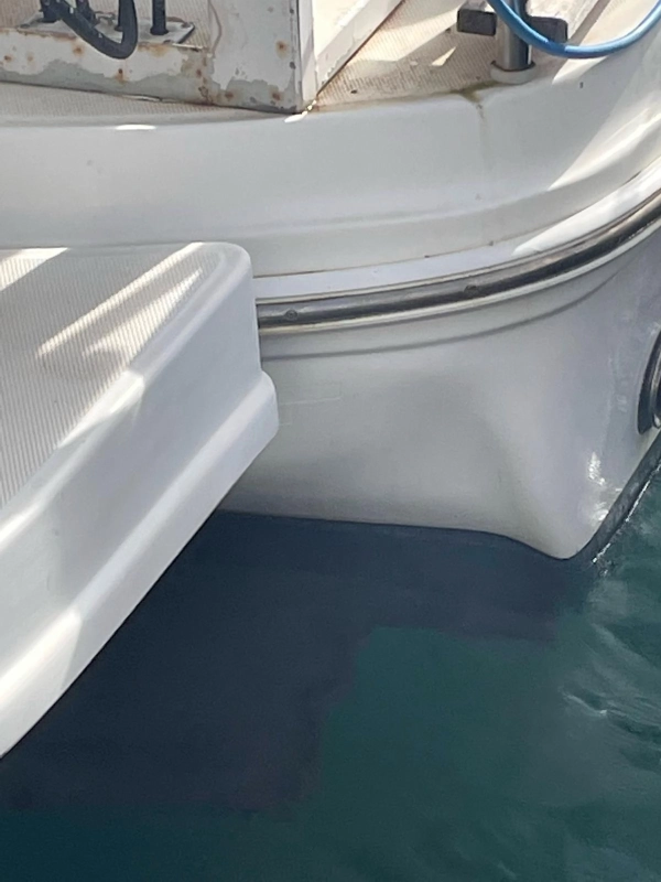 Sea Ray 455 Sundancer 2007