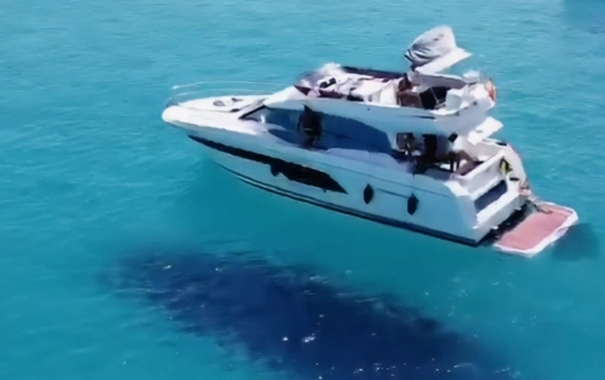 Prestige 520 2020
