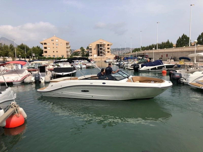 Sea Ray SPX 230 2018