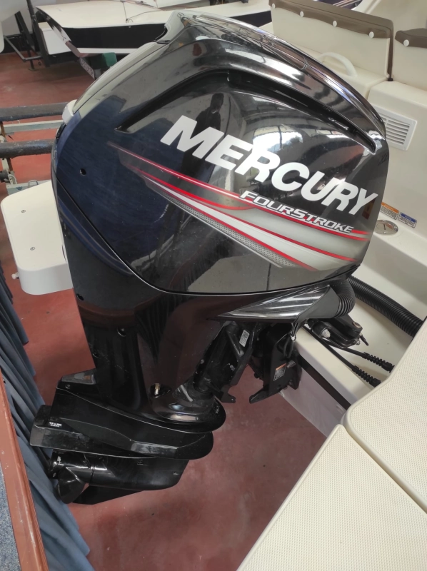 Quicksilver 605 Sundeck 2021
