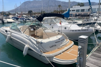 Foto del barco Sea Ray 240 Sundeck 2005