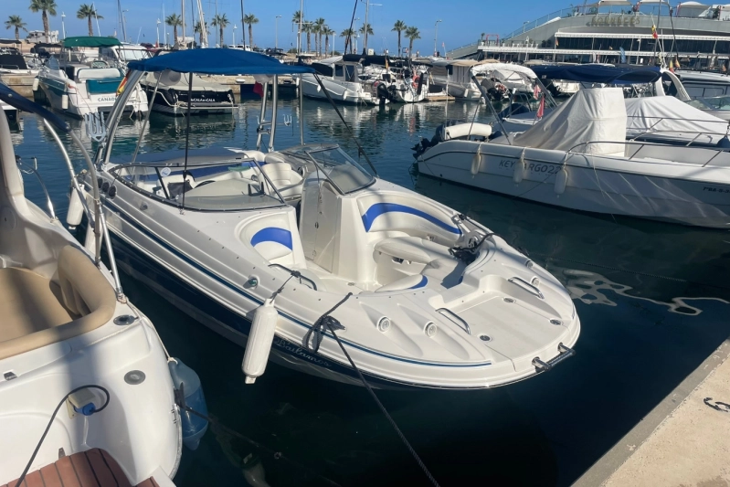 Larson 234 Escape 2008