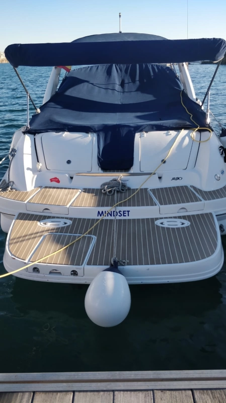 Sea Ray 290 SLX 2008