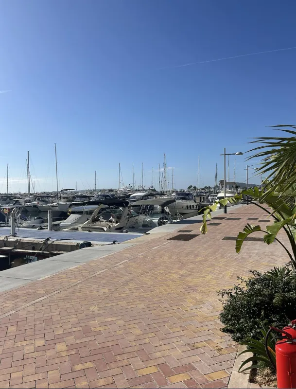 Sea Ray Sundancer 265 2015