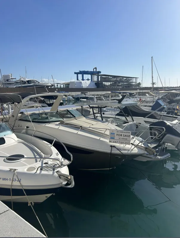 Sea Ray Sundancer 265 2015