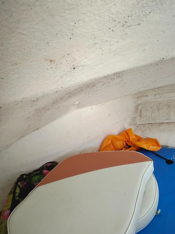 Quicksilver 470 Cruiser 2008