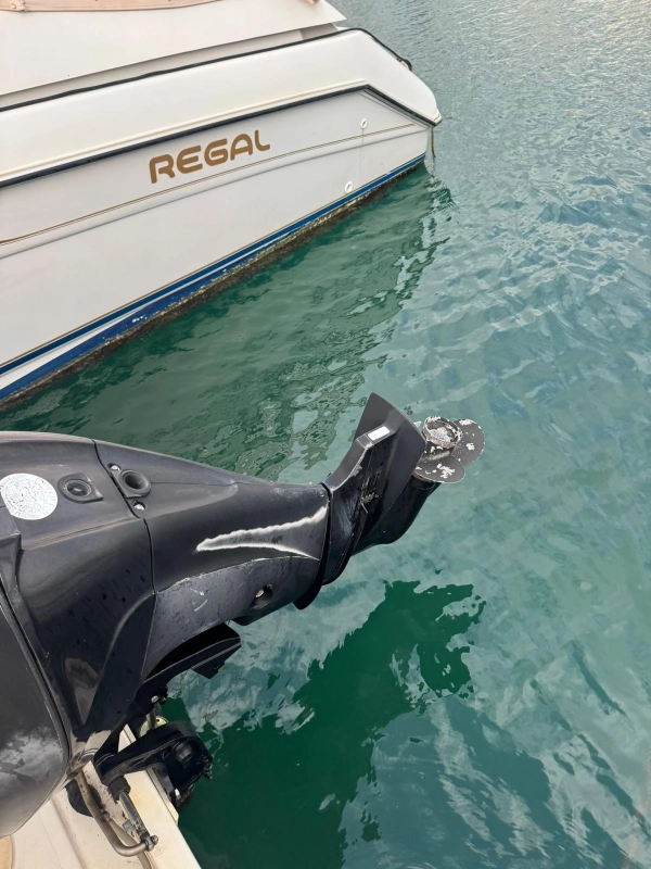 Quicksilver 470 Cruiser 2008