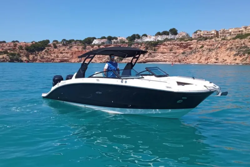 Sea Ray 290 SDX 2018