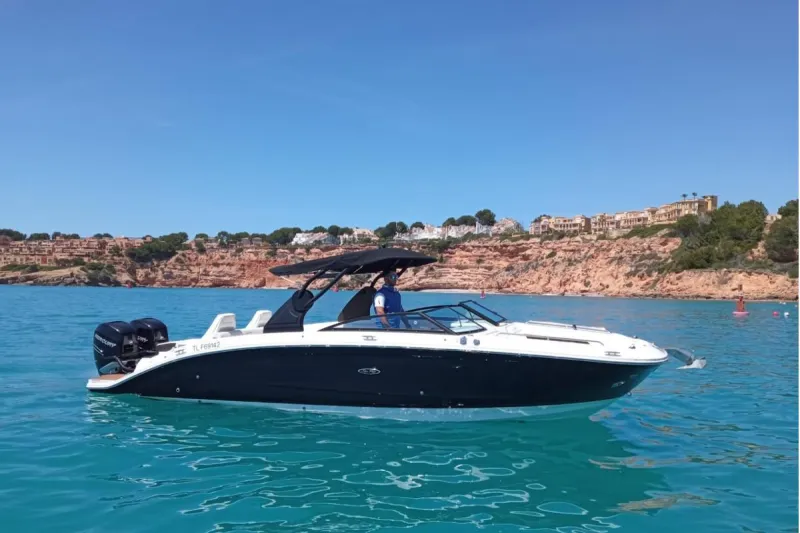 Sea Ray 290 SDX 2018