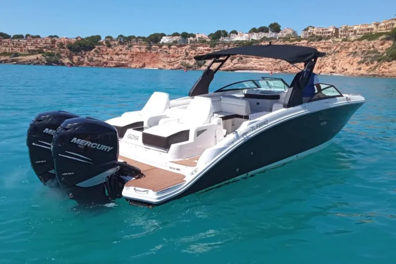 Sea Ray 290 SDX 2018