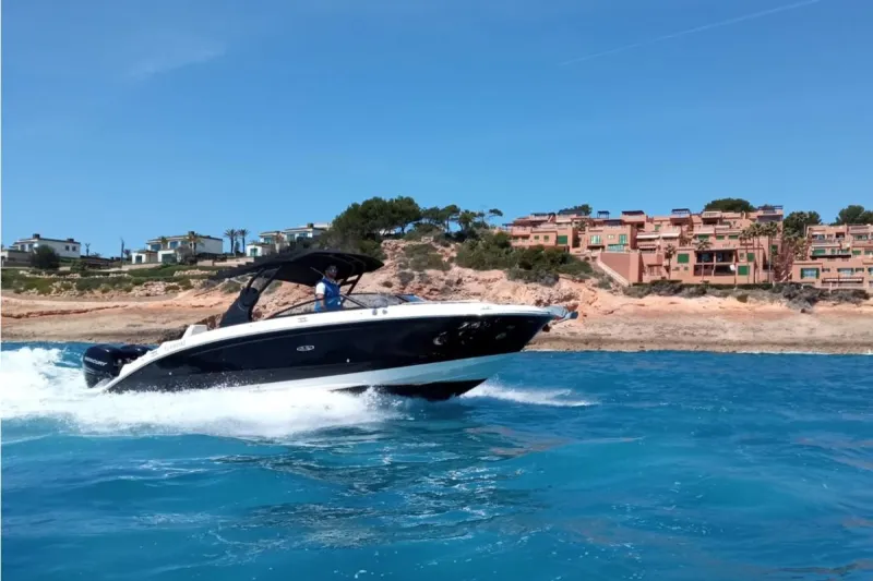 Sea Ray 290 SDX 2018