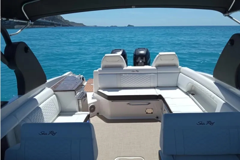 Sea Ray 290 SDX 2018