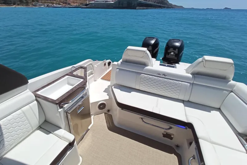 Sea Ray 290 SDX 2018