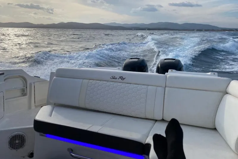 Sea Ray 290 SDX 2018