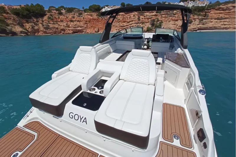 Sea Ray 290 SDX 2018