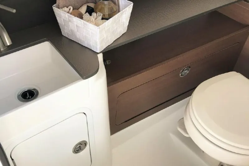 Sea Ray 290 SDX 2018