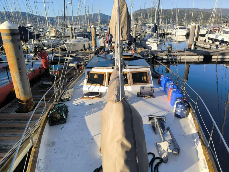 Samson C Baron 55 1984