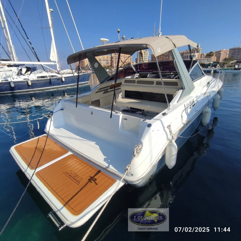 Sea Ray Sundancer 310 1990