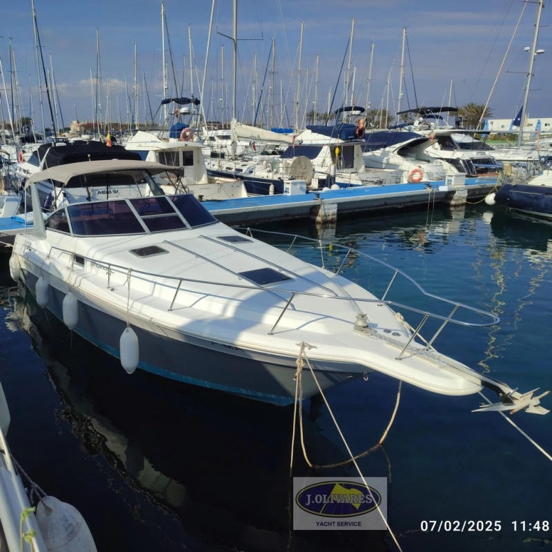 Sea Ray Sundancer 310 1990