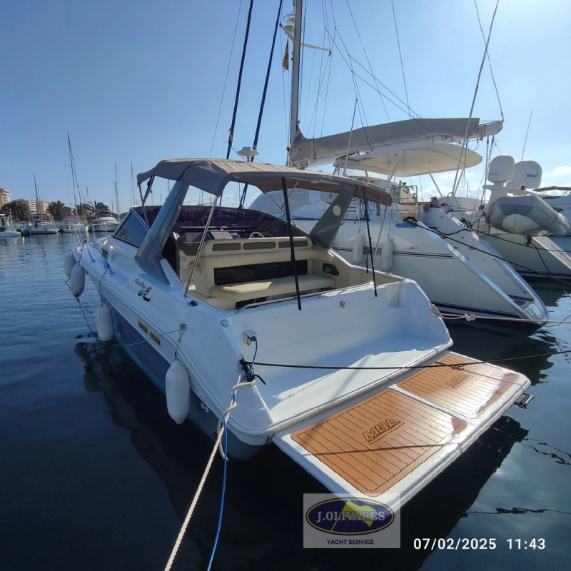 Sea Ray Sundancer 310 1990
