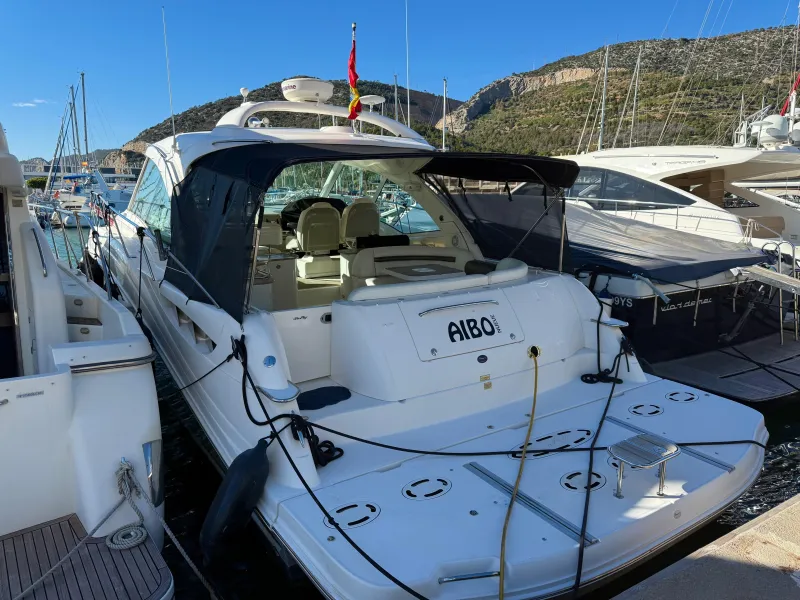 Sea Ray 515 2007