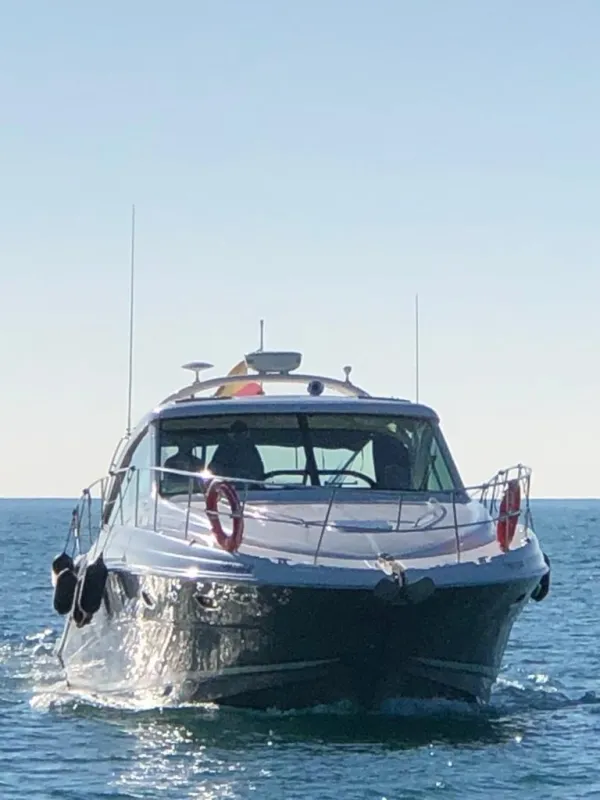 Sea Ray 515 2007