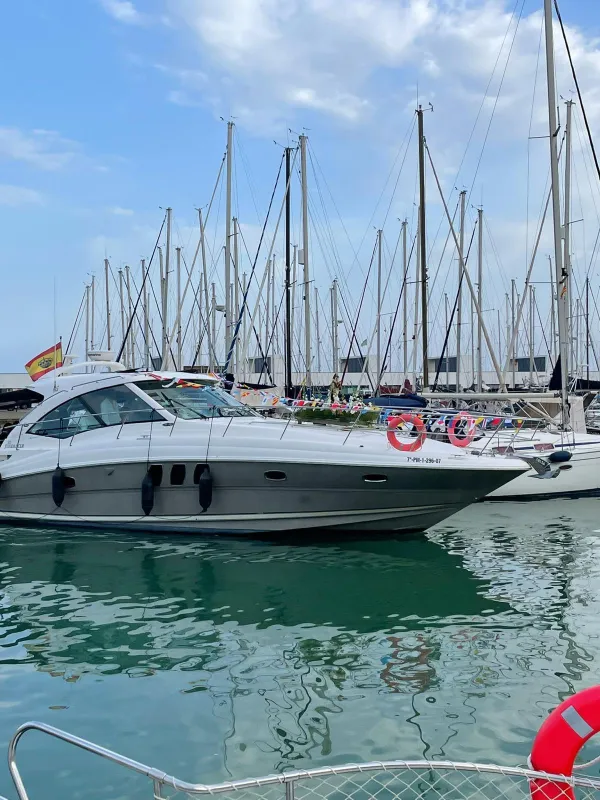 Sea Ray 515 2007