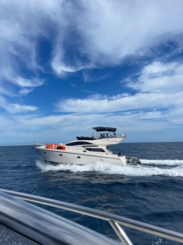 Rodman Muse 44 2009
